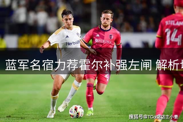 蓝军名宿力荐霍尔补强左闸 解析切尔西后防重组关键棋